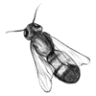 Honey Bee Supply Store