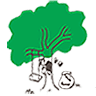 Honey Tree Preschool & Childcare