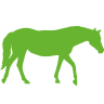 Cindy Ritschel Horse and You