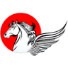 Horseman FX India