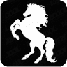 In the world of horses