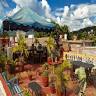 Hostal Roger y Oda