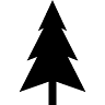 Rakhiv
