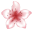 Hotel Blossoms