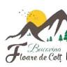 Floare de Colț