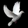 Funeral home- 