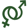 Hormone Replacement Therapy Orlando