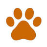 Monroe Low Cost Spay/Neuter Clinic