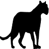 HSV Partner