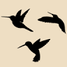 Hummingbird Inn