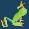 Hyla School