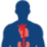ICAAV, Instituto Costarricense Aorta Arterias y Venas