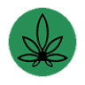 The Shore Cannabiz Shop