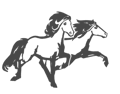Langhús Horse Farm