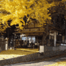 icho cafe （いちょうカフェ）