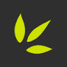 Ieso, LLC