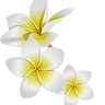 I Frangipani Italian Beauty Spa