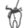 Igarashi Dental Clinic