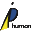 Kaiseiyakkyoku