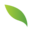 Ilesol Pharmaceuticals d.o.o.