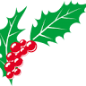 Ilex. Centrum ogrodnicze. Art. ogrodnicze, rośliny ozdobne