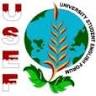 Sekretariat UKM USEF Universitas Jember