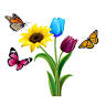 Image India