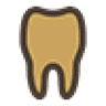 Immediate Tooth Implants
