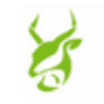 Impala Accountants