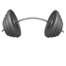 IMP FITNESS