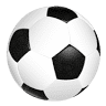 Inkomsport