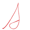InSan Yoga
