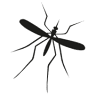 Insektoff