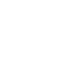Instituto Moderno Americano