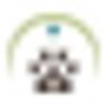 Integrative Veterinary Service