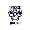 IntenZe 978 Boxing