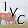 Interstate Veterinary Clinic