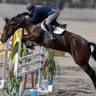 Iran Toseeh Horse Quarantine- قرنطینه اسب ایران توسعه