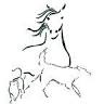 Iron Range Vet Clinic - Aitkin