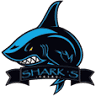 Shark's tour punta mita
