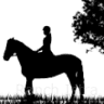 Ranch Istra Star