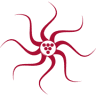 Iter Vitis
