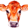 Ithaca Milk