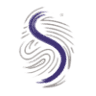 IT Solution S.r.l.