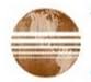 International Veneer & Timber