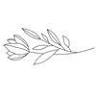 Ivy Esthetics