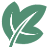 The Ivy Vine Preschool