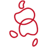 Izumi Brace Co., Ltd.