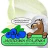 Jagodowa Stajenka Hipoterapia Jazda konna