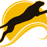 Jaguar. Nauka pływania